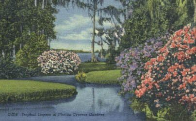 Ciprus Kert, Florida Képeslap