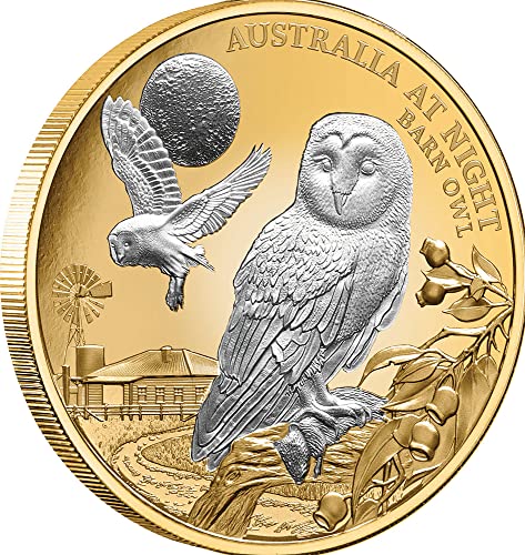2022 DE Ausztrália Éjszaka PowerCoin gyöngybagoly 1 Oz Arany Érme 100$ Niue 2022 1 Oz Bizonyíték